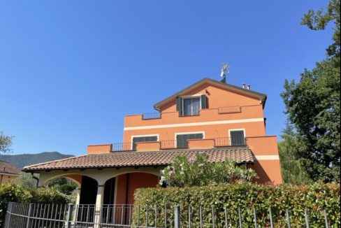 IMG_4355 2