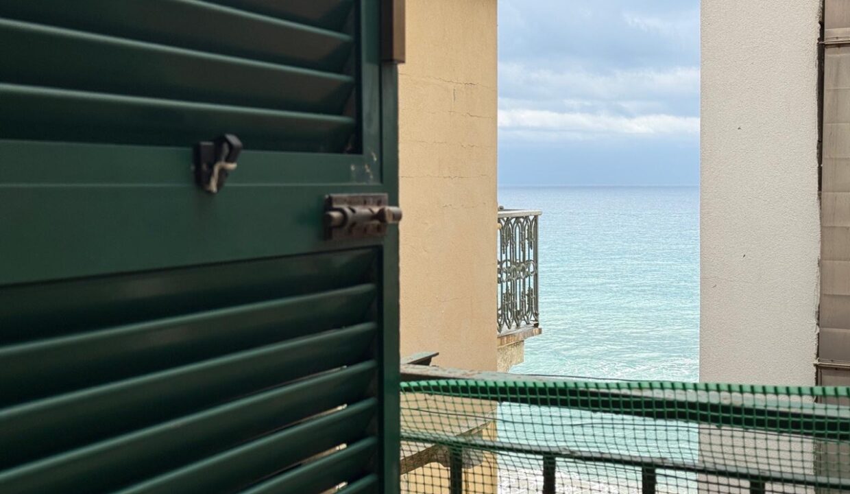 PHOTO-2025-10-24-10-08-13 8 - dimensioni grandi