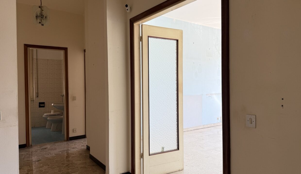 IMG_8378 - dimensioni grandi