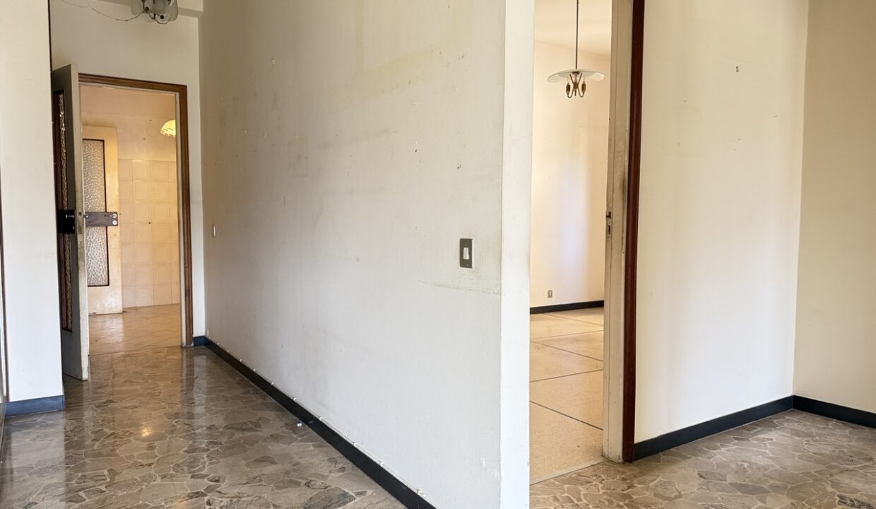 IMG_8382 - dimensioni grandi