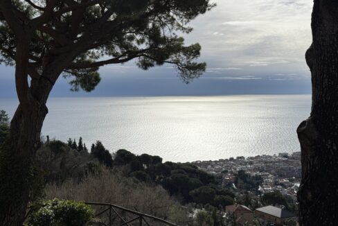 IMG_0671 - dimensioni grandi 11.11.12