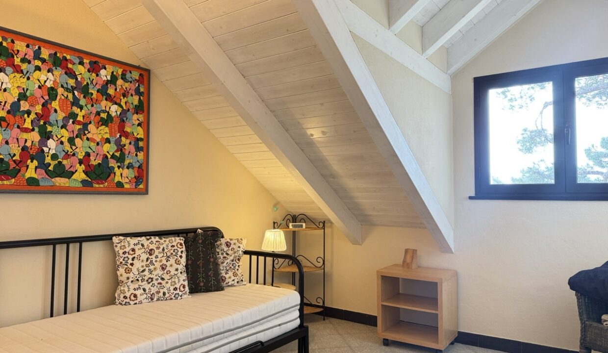 IMG_0676 - dimensioni grandi 11.11.12