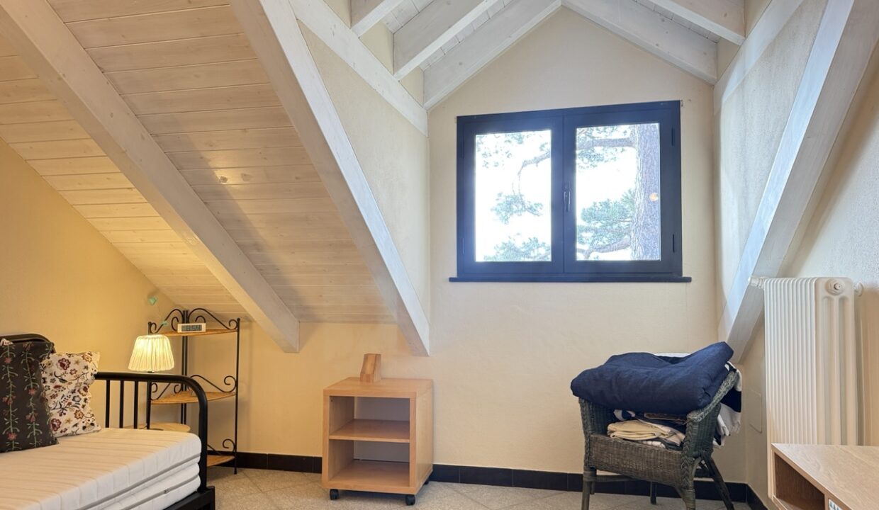 IMG_0677 - dimensioni grandi 11.11.12