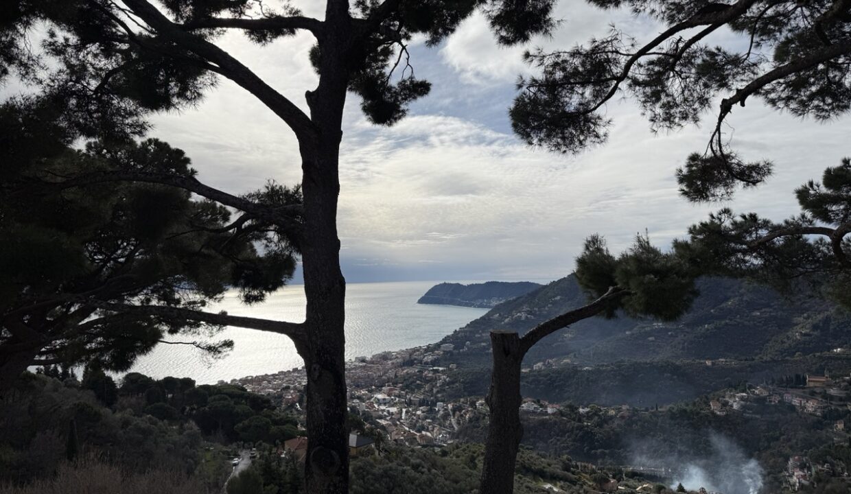 IMG_0678 - dimensioni grandi 11.11.12