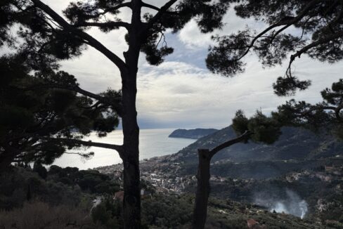 IMG_0678 - dimensioni grandi 11.11.12