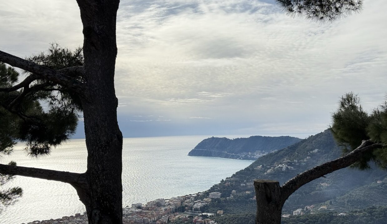 IMG_0679 - dimensioni grandi 11.11.12