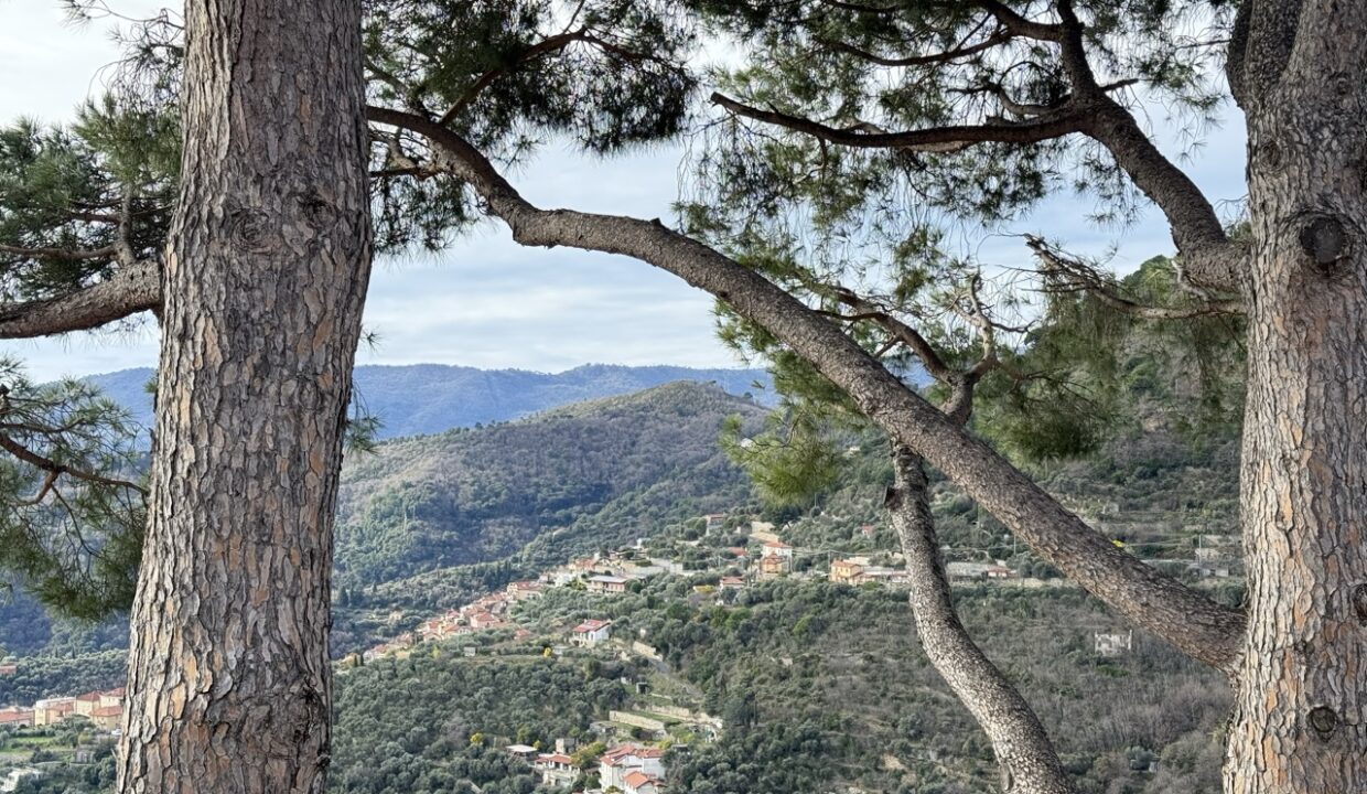 IMG_0681 - dimensioni grandi 11.11.12