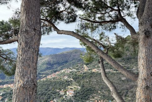 IMG_0681 - dimensioni grandi 11.11.12