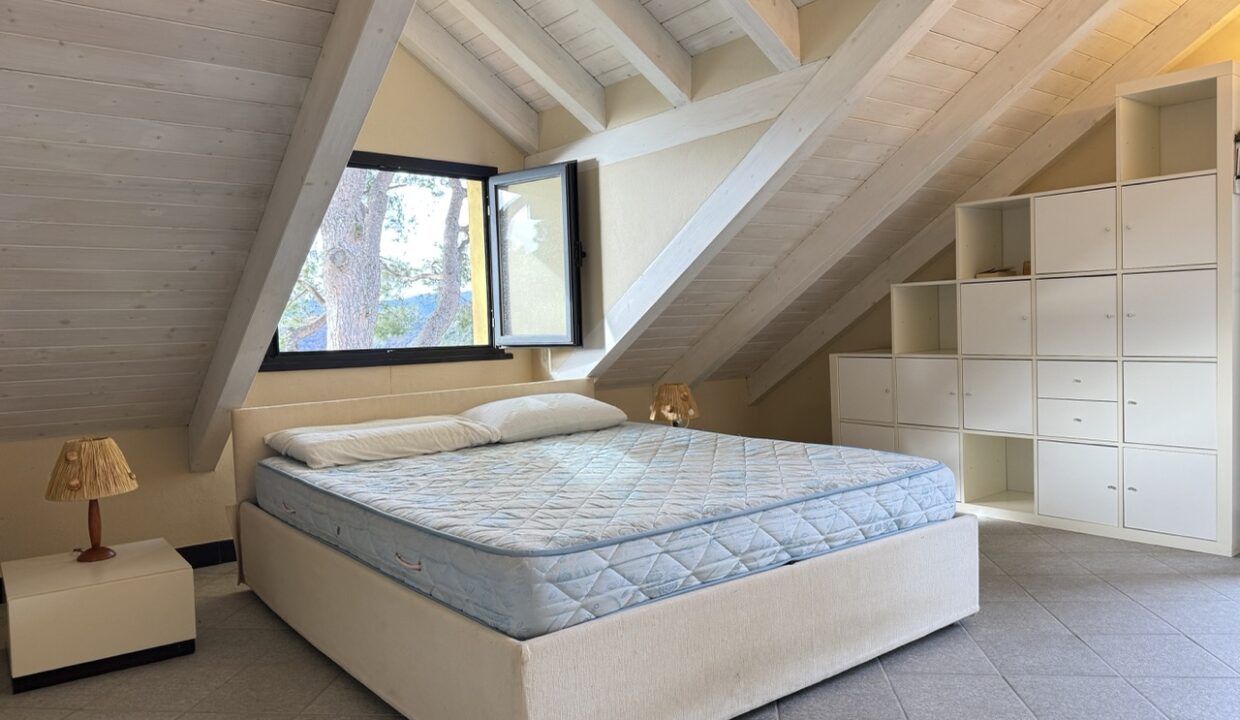 IMG_0683 - dimensioni grandi