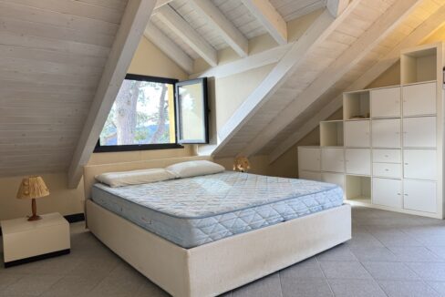 IMG_0683 - dimensioni grandi