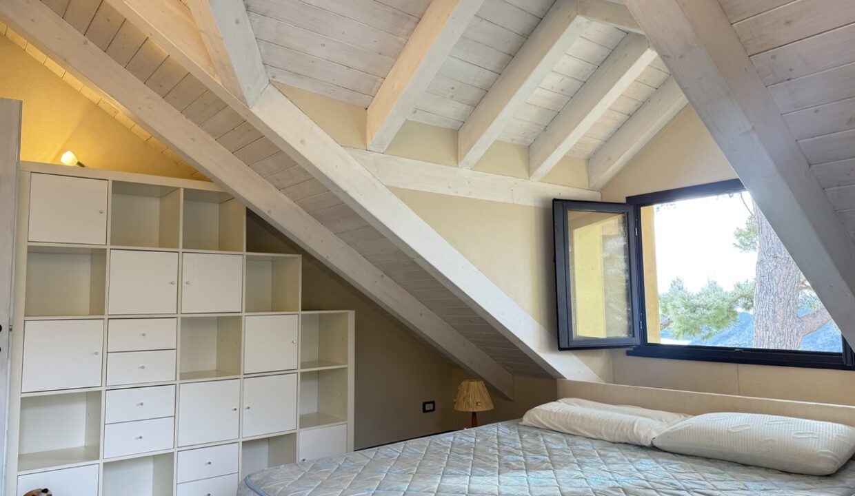 IMG_0685 - dimensioni grandi