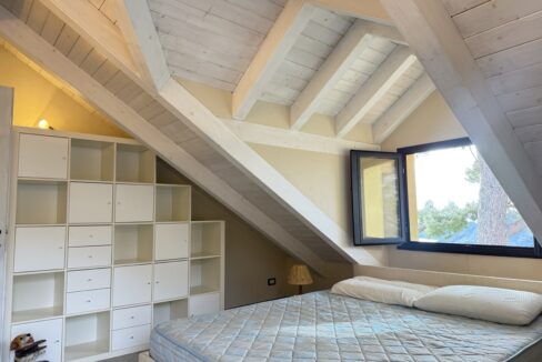 IMG_0685 - dimensioni grandi