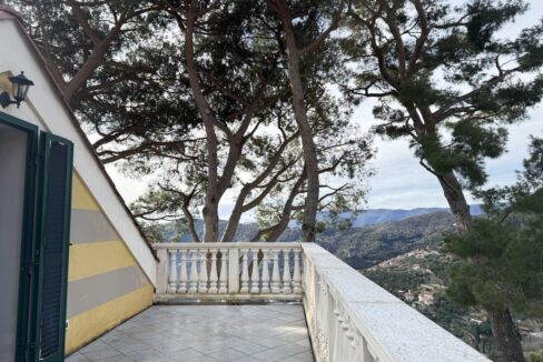 IMG_0687 - dimensioni grandi