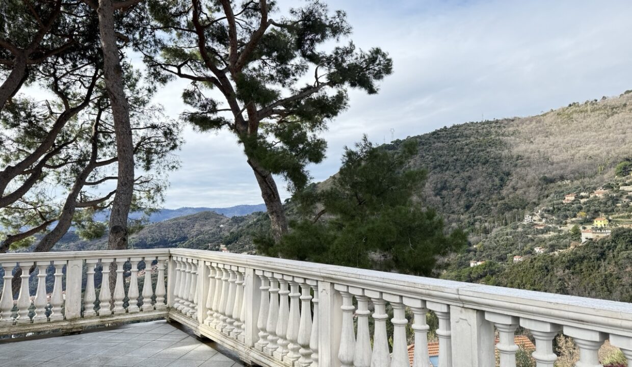 IMG_0688 - dimensioni grandi