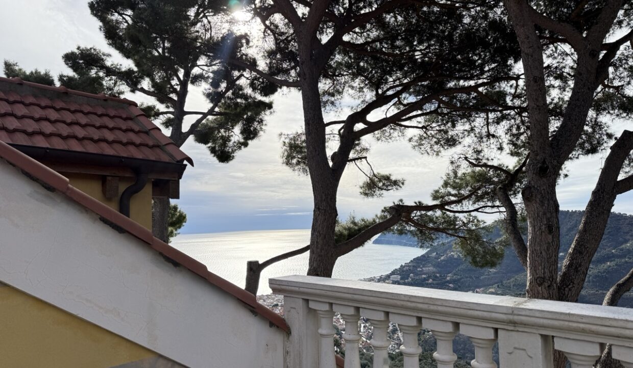 IMG_0689 - dimensioni grandi