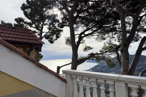 IMG_0689 - dimensioni grandi