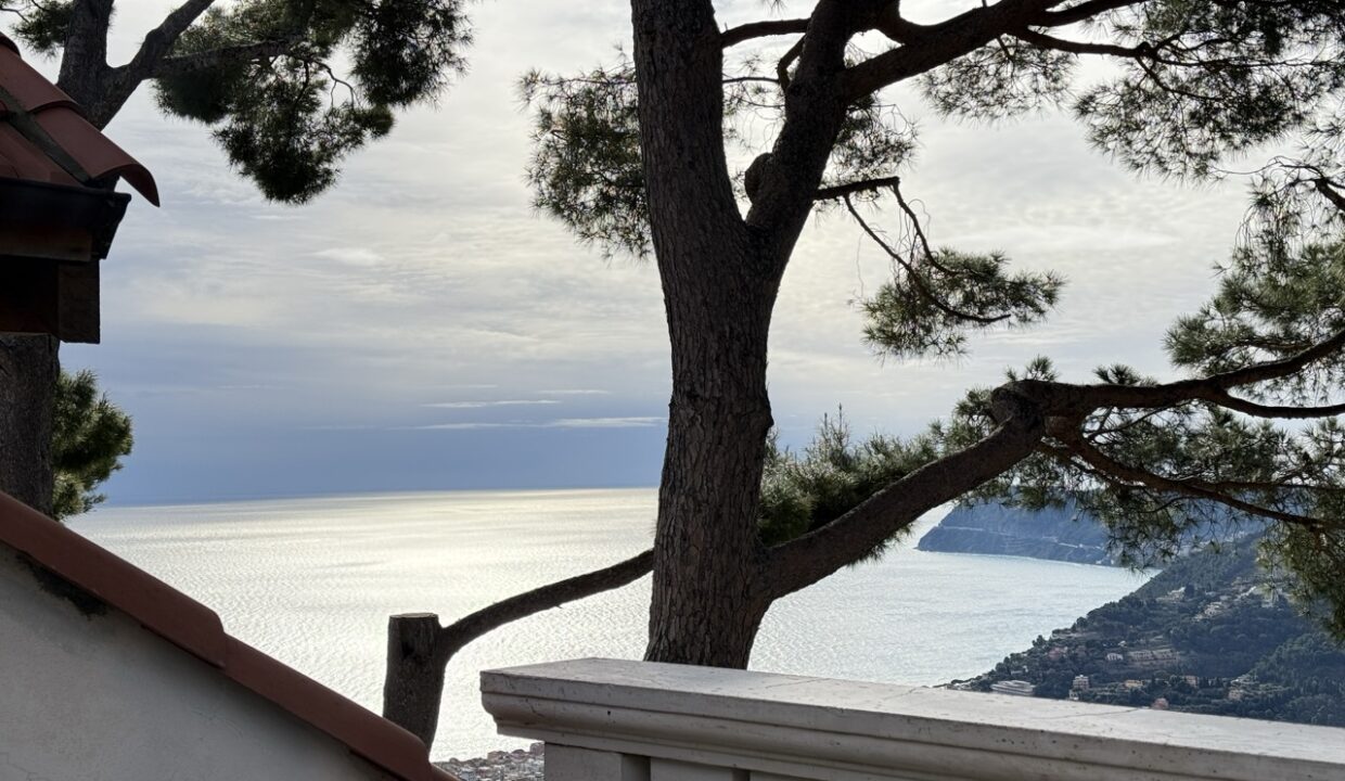 IMG_0690 - dimensioni grandi