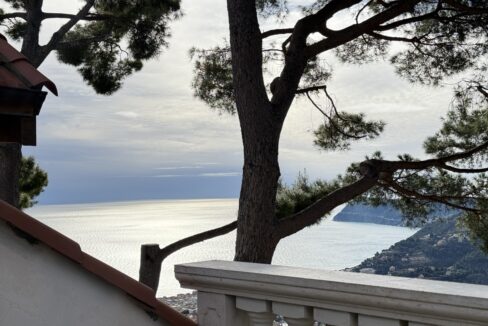 IMG_0690 - dimensioni grandi