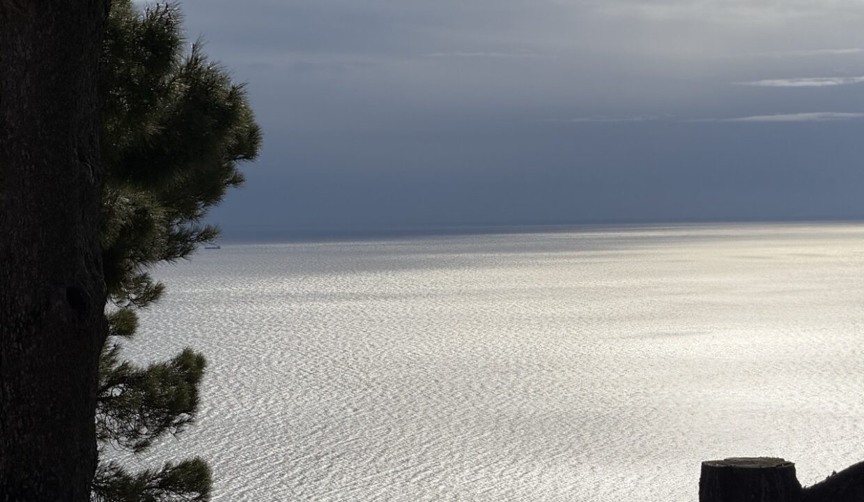 IMG_0691 - dimensioni grandi