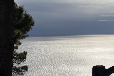 IMG_0691 - dimensioni grandi