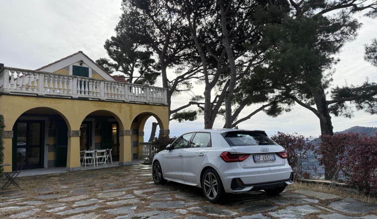 IMG_0696 - dimensioni grandi