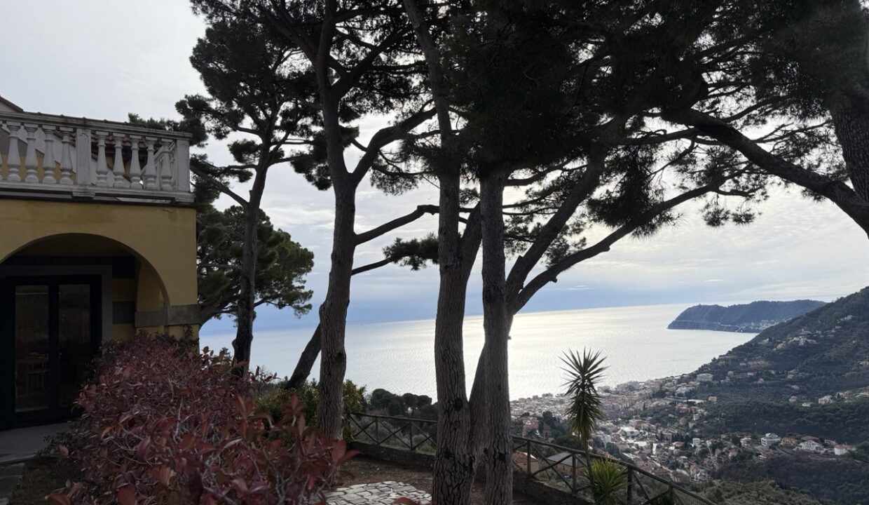 IMG_0699 - dimensioni grandi