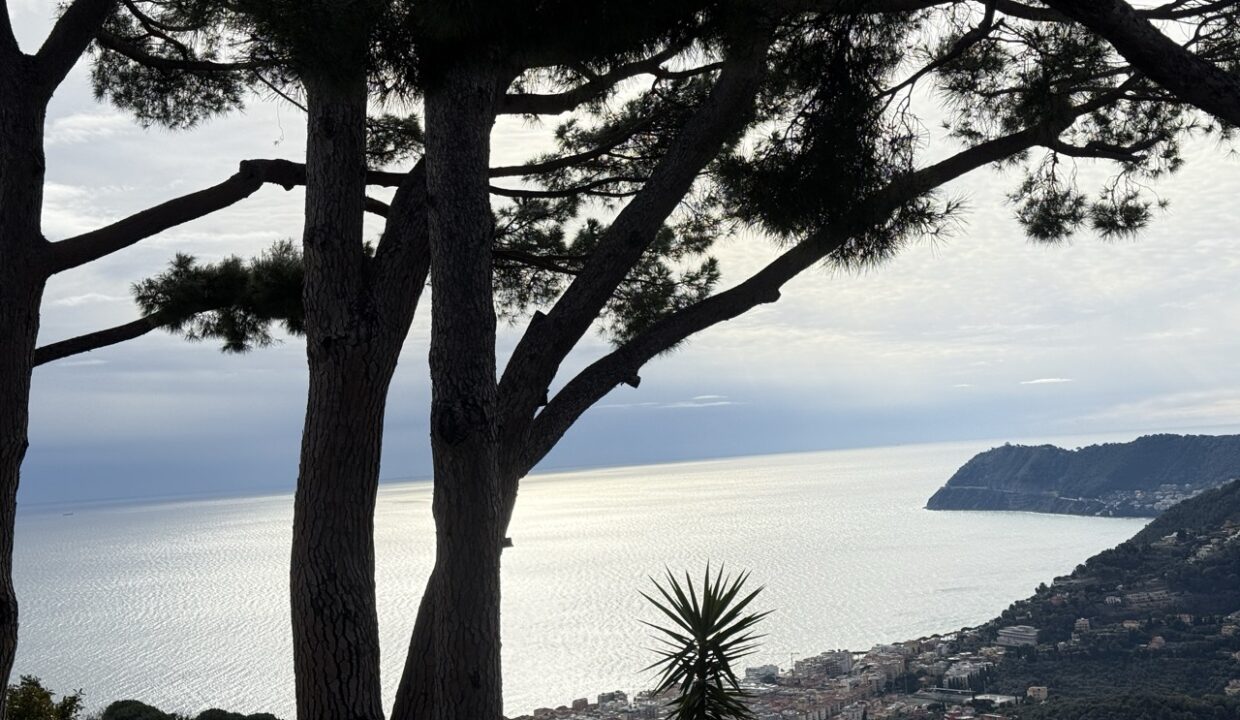 IMG_0700 - dimensioni grandi