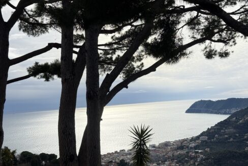 IMG_0700 - dimensioni grandi