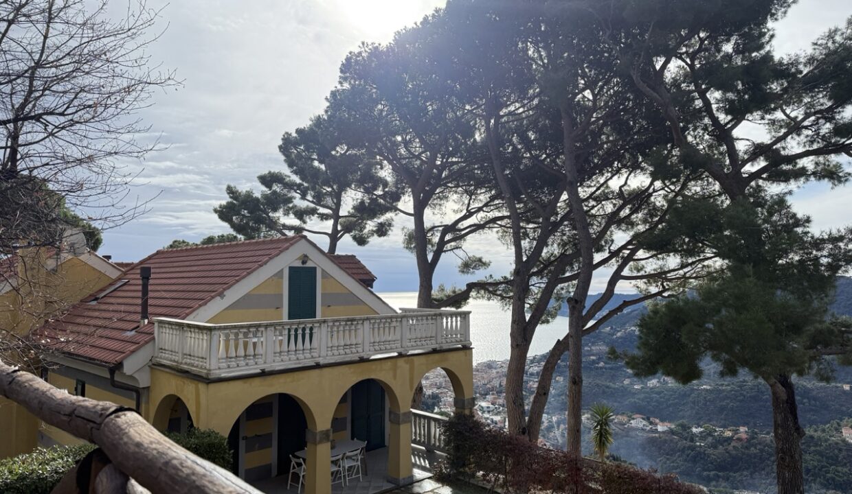 IMG_0716 - dimensioni grandi