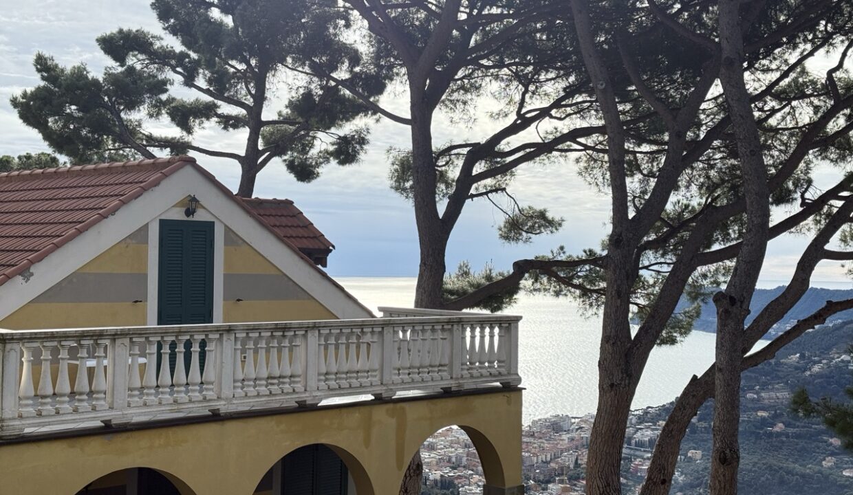 IMG_0717 - dimensioni grandi