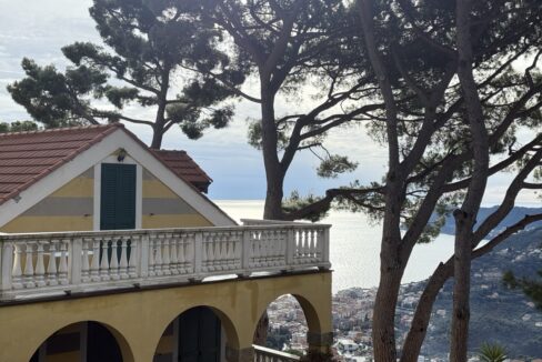 IMG_0717 - dimensioni grandi