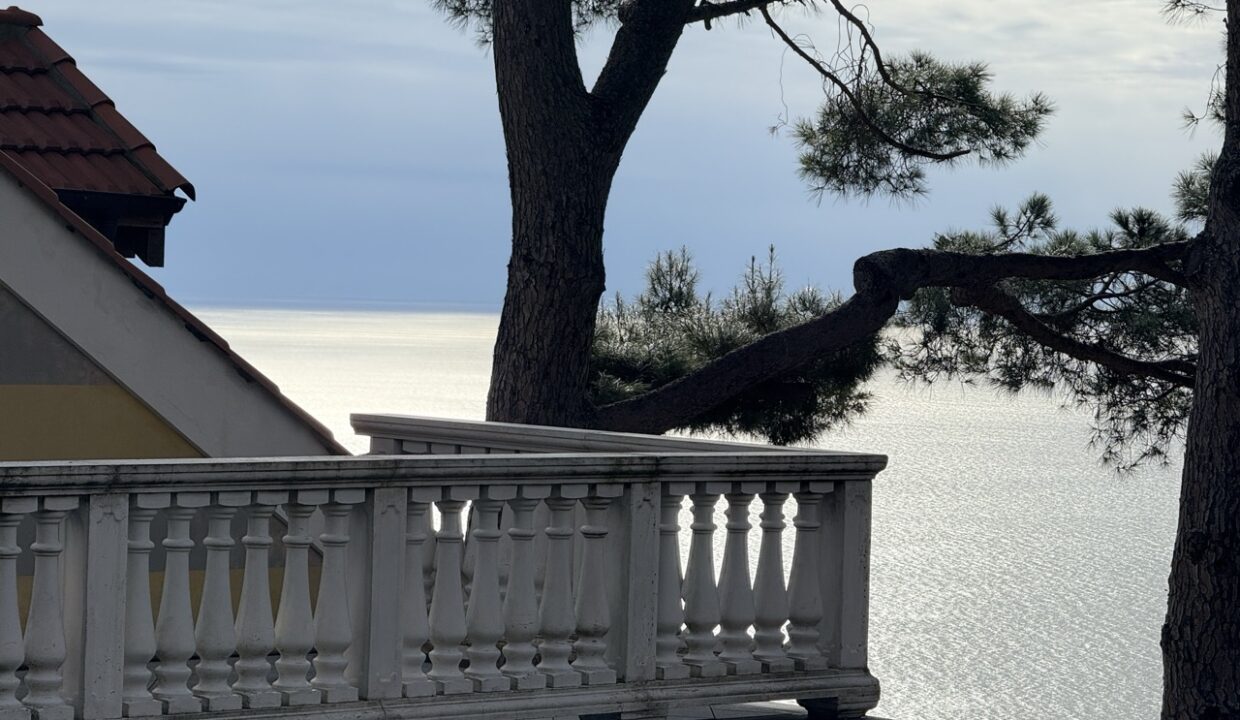 IMG_0718 - dimensioni grandi