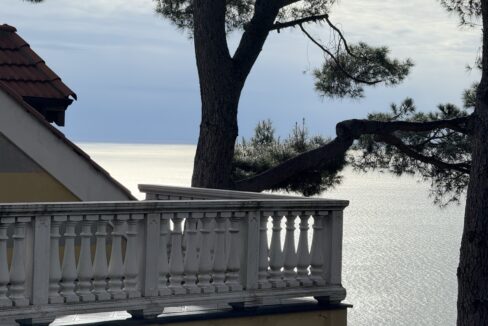 IMG_0718 - dimensioni grandi