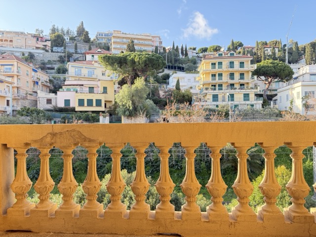 IMG_0933 - dimensioni medie