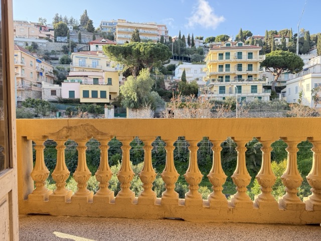 IMG_0934 - dimensioni medie