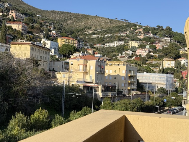 IMG_0936 - dimensioni medie