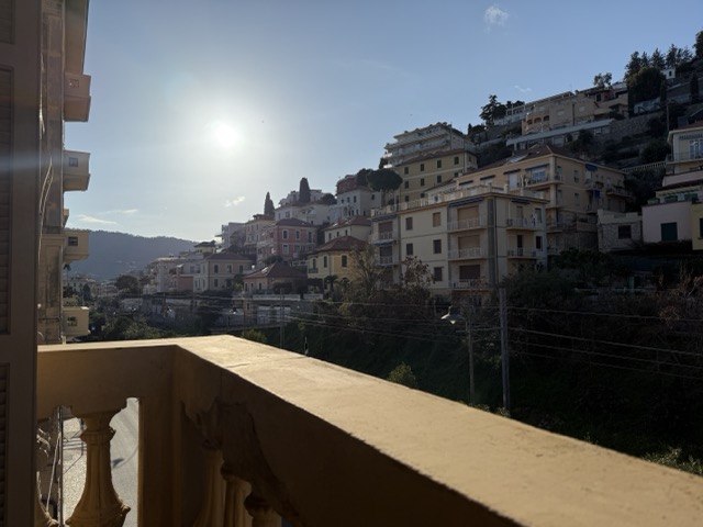 IMG_0937 - dimensioni medie