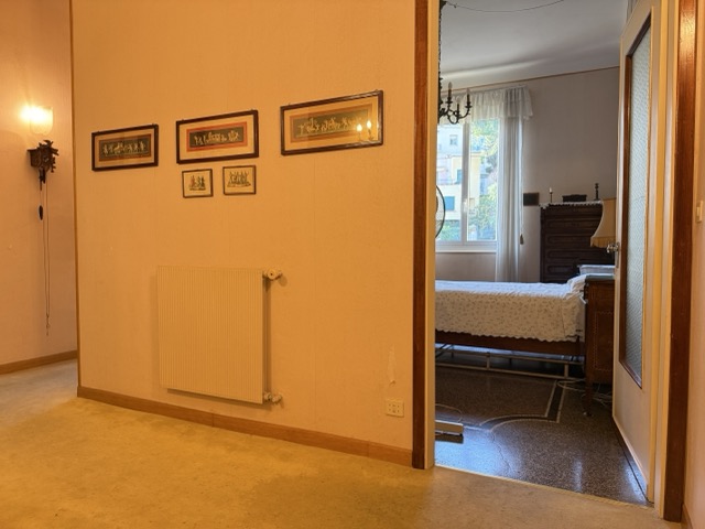 IMG_0940 - dimensioni medie