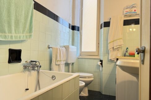 IMG_0947 - dimensioni medie