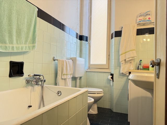 IMG_0947 - dimensioni medie