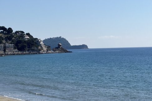 IMG_1520 - dimensioni grandi
