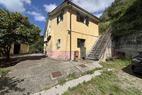 IMG_5333 - dimensioni grandi