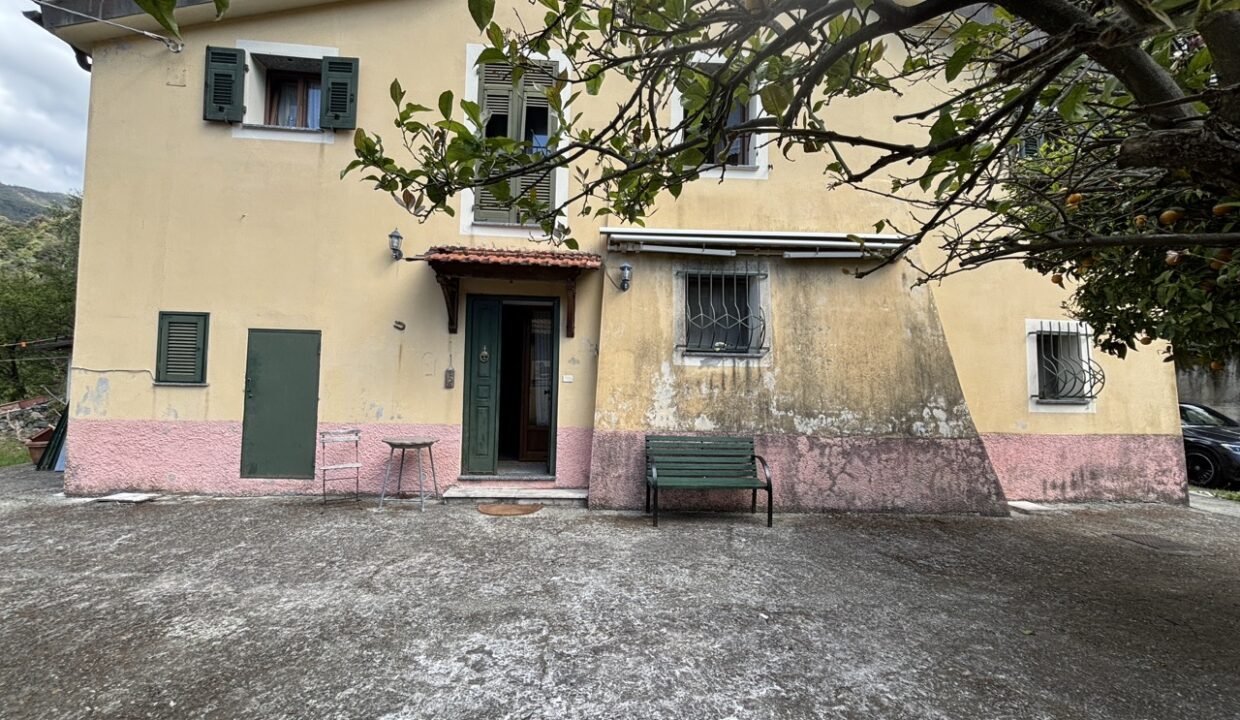 IMG_5337 - dimensioni grandi